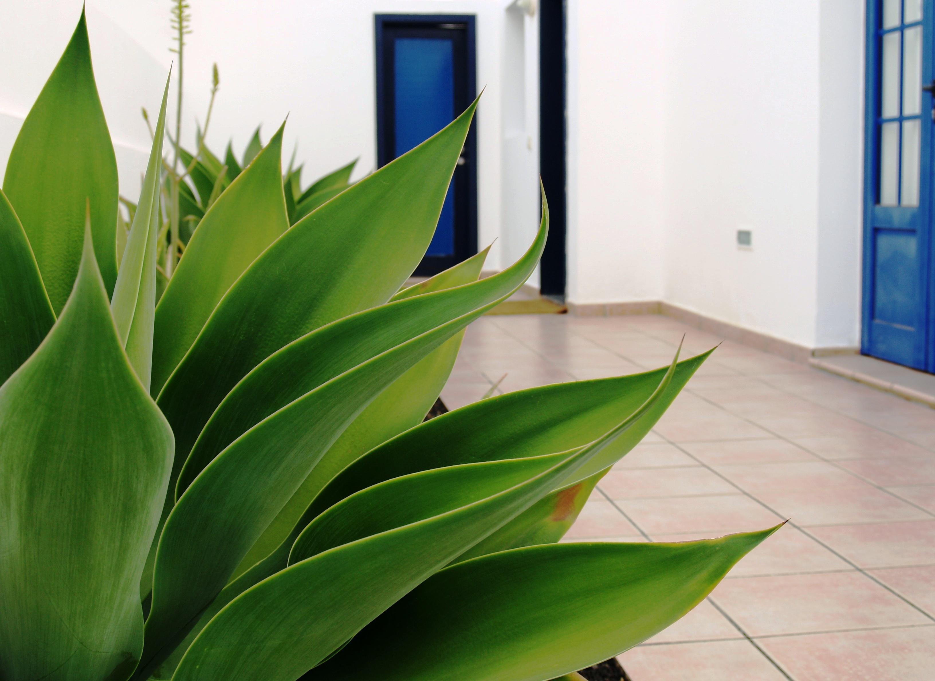 Villas Puerto Rubicon Playa Blanca (Lanzarote) Exterior foto